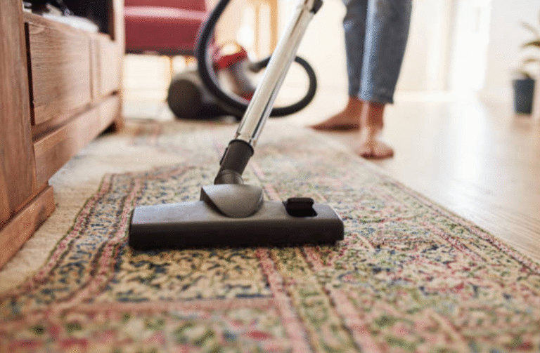 How to Remove Pet Hair and Odors from Sofas and Chairs