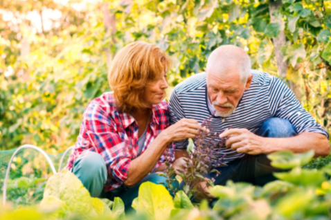 5 Steps to Bring Loved Ones Home Quickly and Safely