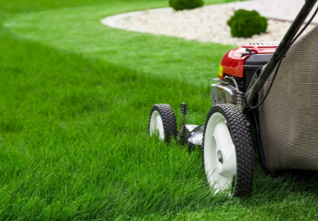Best Lawn Care Mississauga Services for a Healthy Green Yard