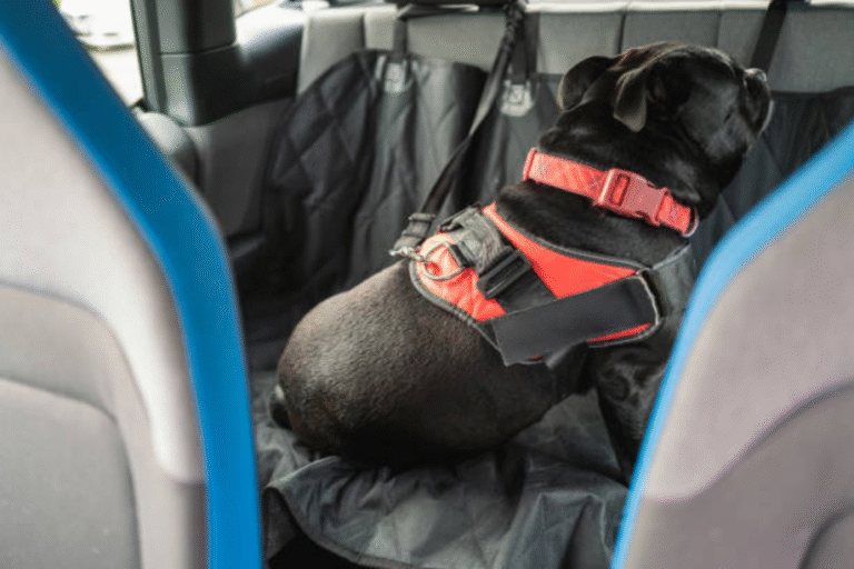 Keep Your Car Clean and Comfortable with a Rear Seat Protector for Dogs 
